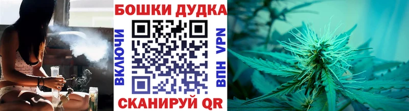 Бошки Шишки MAZAR  Купить  Облучье 